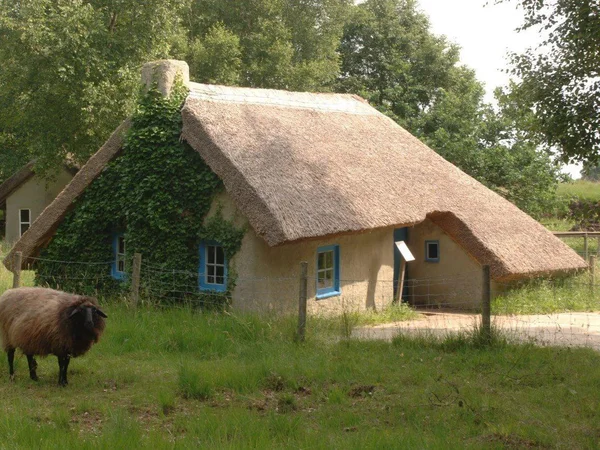 Bild 1: Moormuseum Moordorf